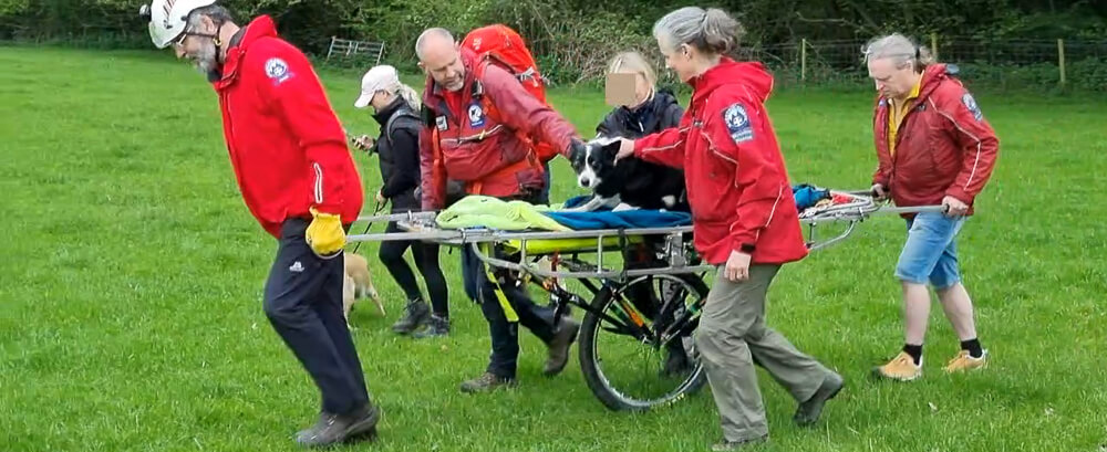 2023-26: Injured Dog - Alderwasley